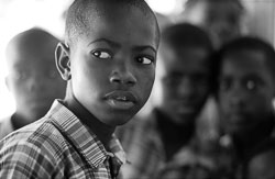 David-Knoble-LS-5000-03_v1.jpg David-Knoble-LS-5000-03_v1.jpg