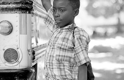 David-Knoble-LS-5000-10_v2.jpg David-Knoble-LS-5000-10_v2.jpg