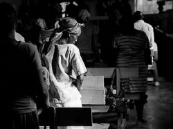 David-Knoble-LS-5000-31_v1.jpg David-Knoble-LS-5000-31_v1.jpg