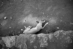 David-Knoble-LEICA-M-MONOCHROM-1535_v1.jpg David-Knoble-LEICA-M-MONOCHROM-1535_v1.jpg