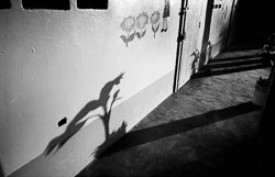 David-Knoble-LS-5000-33_v1.jpg David-Knoble-LS-5000-33_v1.jpg