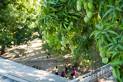 David-Knoble-LEICA-SL-0108_v1.jpg David-Knoble-LEICA-SL-0108_v1.jpg