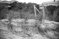 Coastal Erosion Black and White