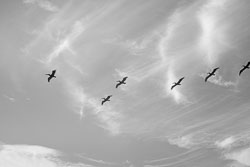 David-Knoble-LEICA-M-MONOCHROM-1001691.jpg David-Knoble-LEICA-M-MONOCHROM-1001691.jpg