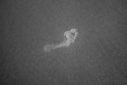 David-Knoble-LEICA-M-MONOCHROM-1006445.jpg David-Knoble-LEICA-M-MONOCHROM-1006445.jpg