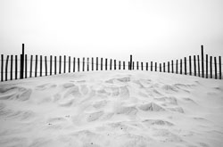 Dune Fence David-Knoble-LEICA-M10-MONOCHROM-1008035.jpg