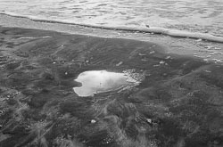 David-Knoble-LEICA-M10-MONOCHROM-1008475.jpg David-Knoble-LEICA-M10-MONOCHROM-1008475.jpg