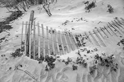 Holding On David-Knoble-LEICA-M10-MONOCHROM-1008490.jpg