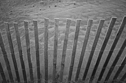 David-Knoble-LEICA-M10-MONOCHROM-3.jpg David-Knoble-LEICA-M10-MONOCHROM-3.jpg