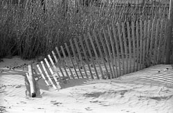 David-Knoble-LS-5000-01.jpg David-Knoble-LS-5000-01.jpg