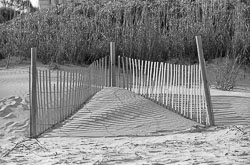 David-Knoble-LS-5000-04.jpg David-Knoble-LS-5000-04.jpg