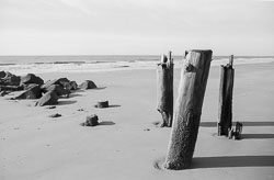 David-Knoble-LS-5000-19.jpg David-Knoble-LS-5000-19.jpg