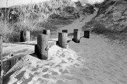 Sand Walls for Protection David-Knoble-LS-5000-58.jpg