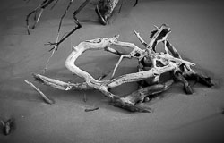 David-Knoble-LS-5000-66.jpg David-Knoble-LS-5000-66.jpg