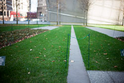 Stay Off the Grass David-Knoble-LEICA-M-1277_v1.jpg