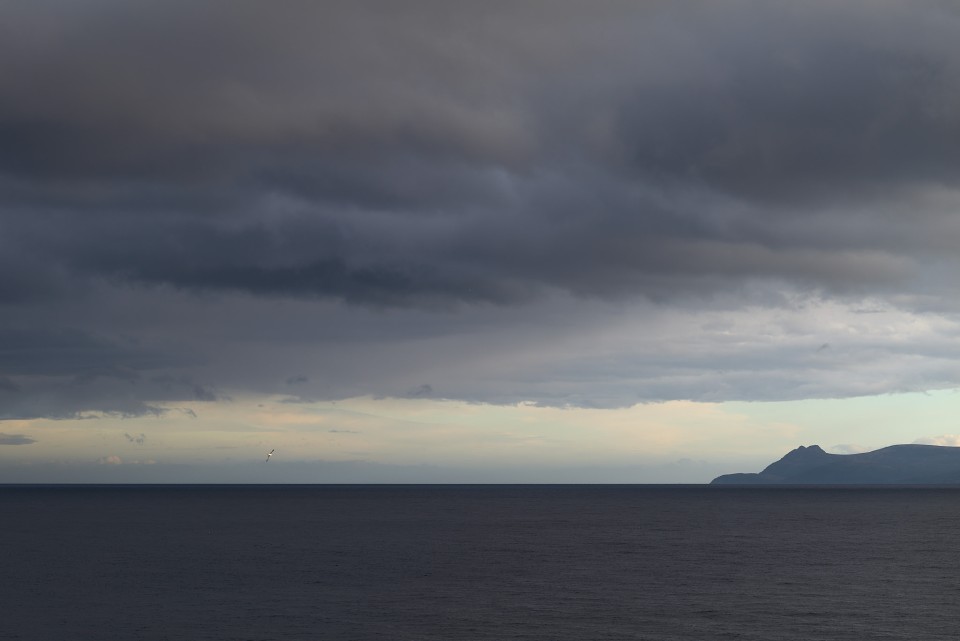 25-03-14-SL2-L1030016.jpg