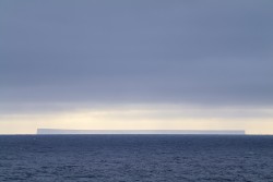 25-03-14-SL2-L1030178.jpg