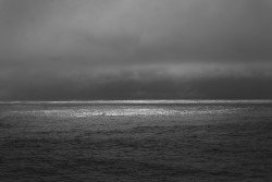 25-03-14-SL2S-L1020549.jpg